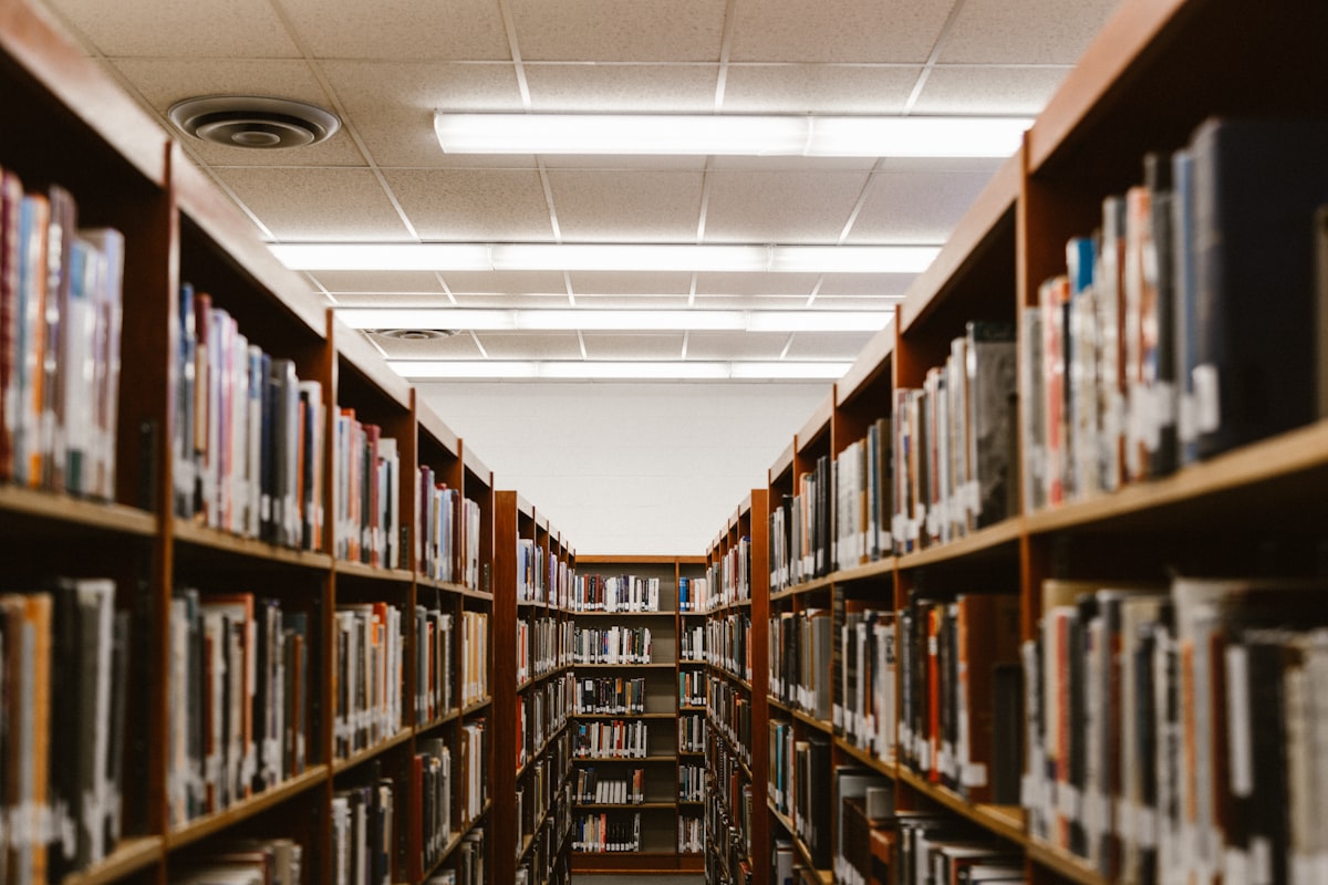 Top 10 University Courses for Romanians in the UK 2026